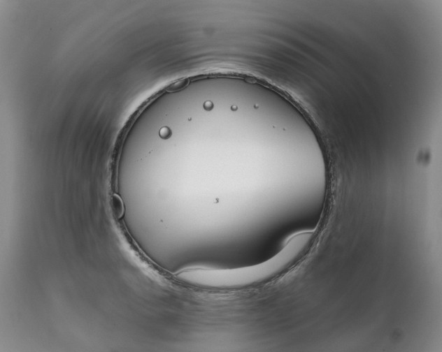 X0000111371134200907241239