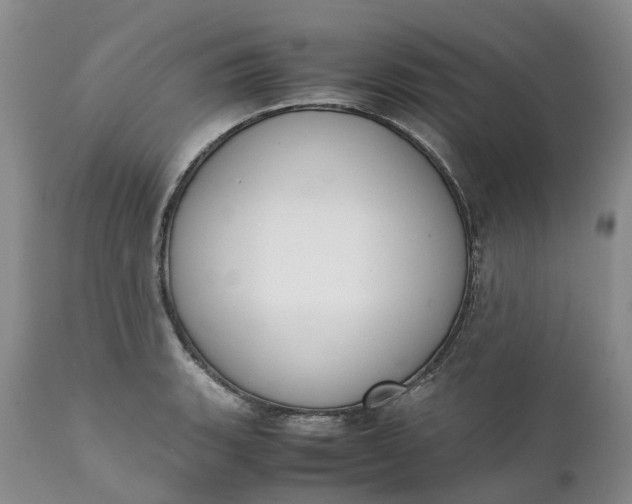 X0000111371135200907241239