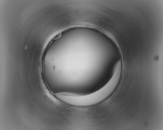 X0000111371136200907241239