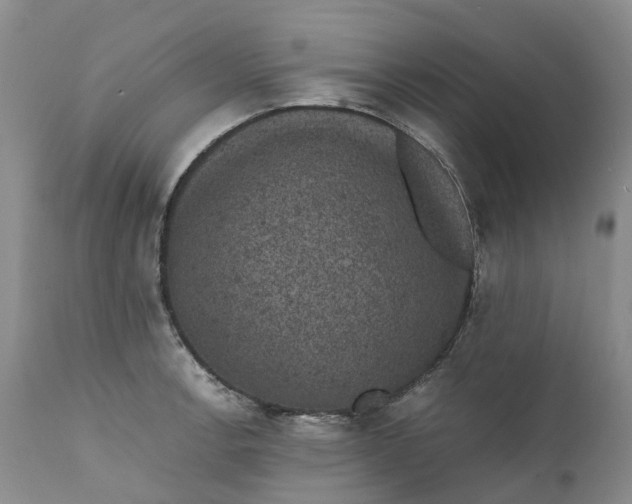 X0000111371138200907241239