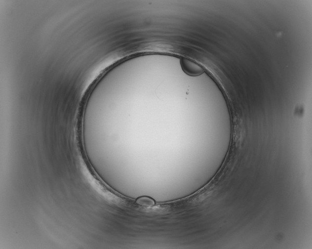 X0000111371139200907241239