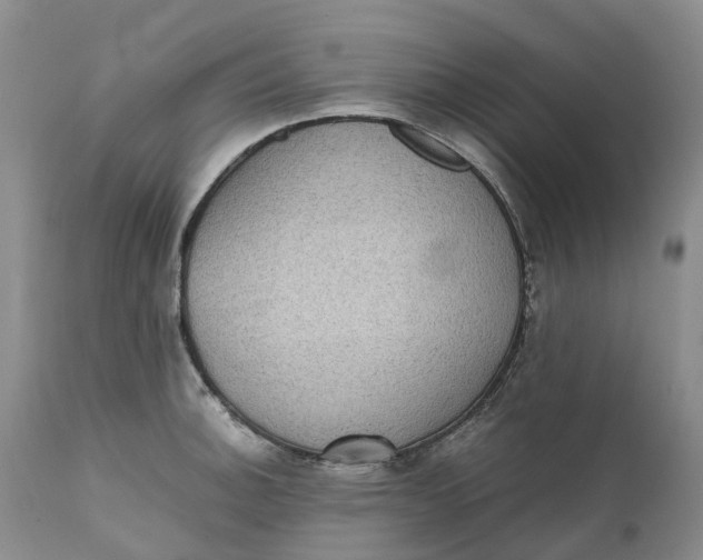 X0000111371140200907241239