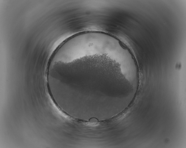 X0000111371141200907241239