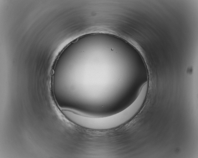 X0000111371144200907241239