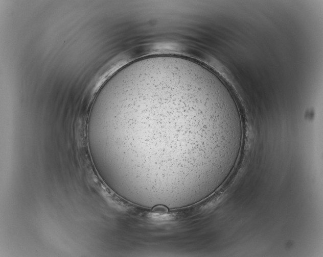 X0000111371145200907241240