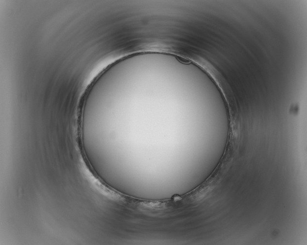 X0000111371147200907241240