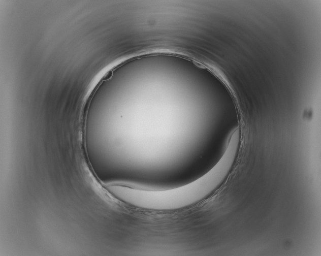 X0000111371148200907241240