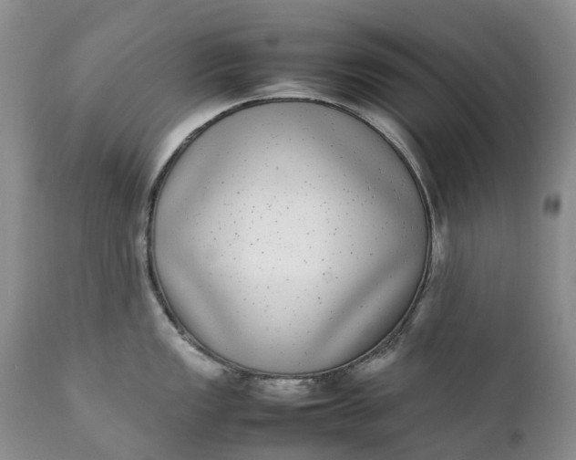 X0000111371149200907241240