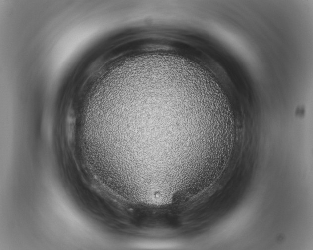 X0000111371151200907241240