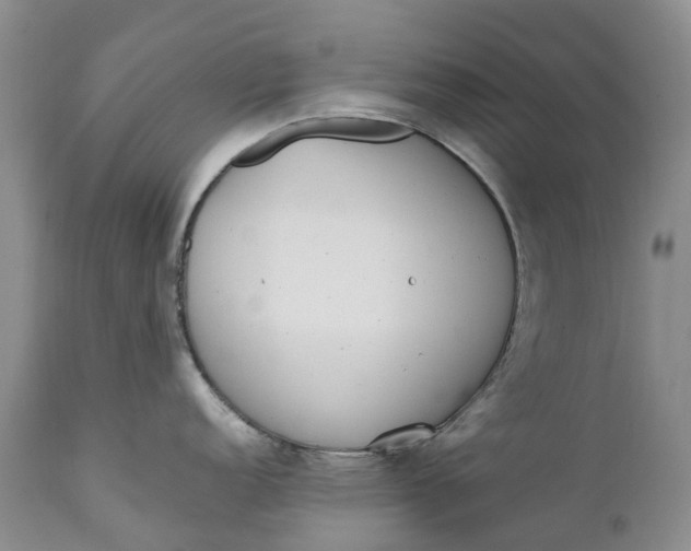 X0000111371152200907241240