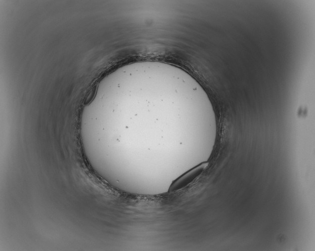 X0000111371153200907241239