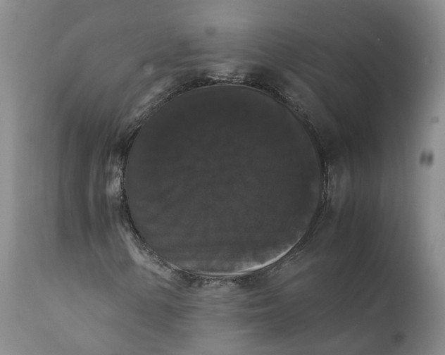 X0000111371154200907241239