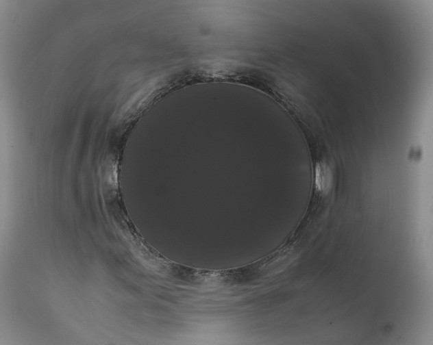 X0000111371155200907241239