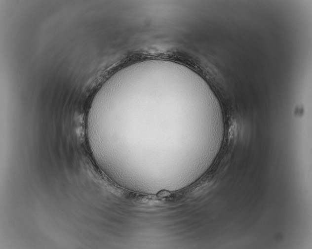 X0000111371156200907241239