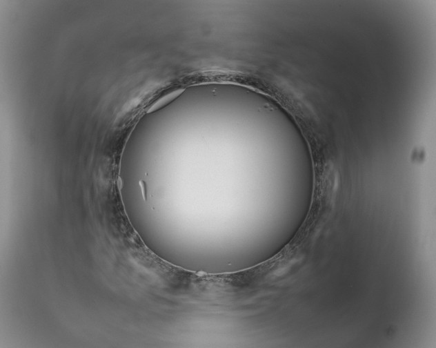 X0000111371157200907241239