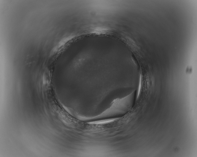 X0000111371158200907241239