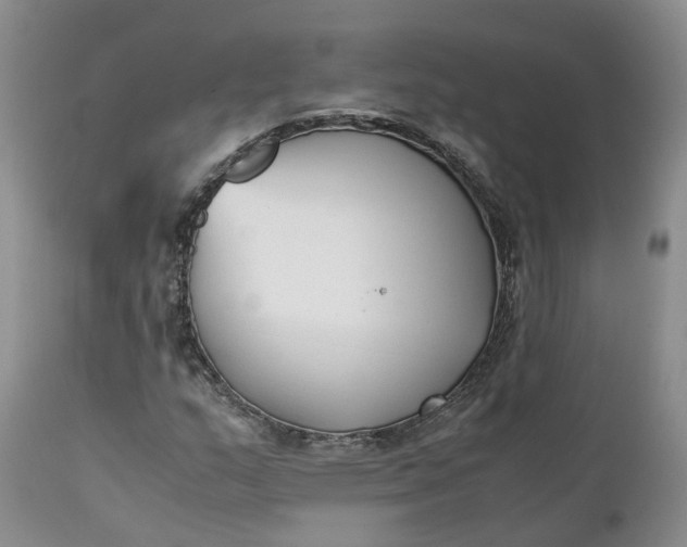 X0000111371159200907241239