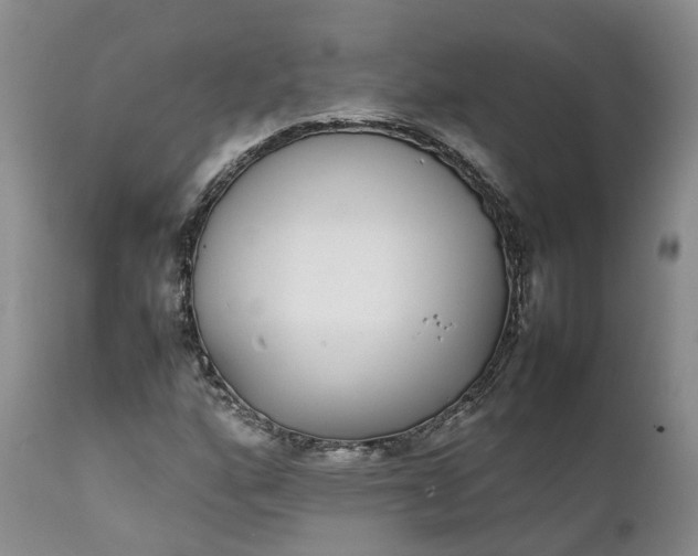 X0000111371160200907241239