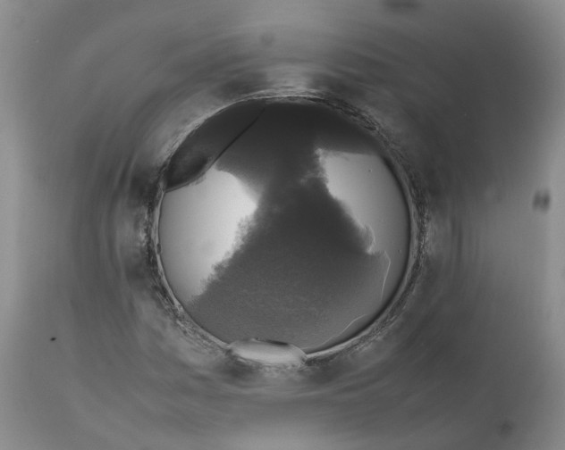 X0000111371161200907241239