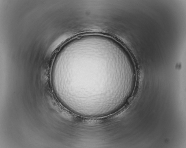 X0000111371163200907241239