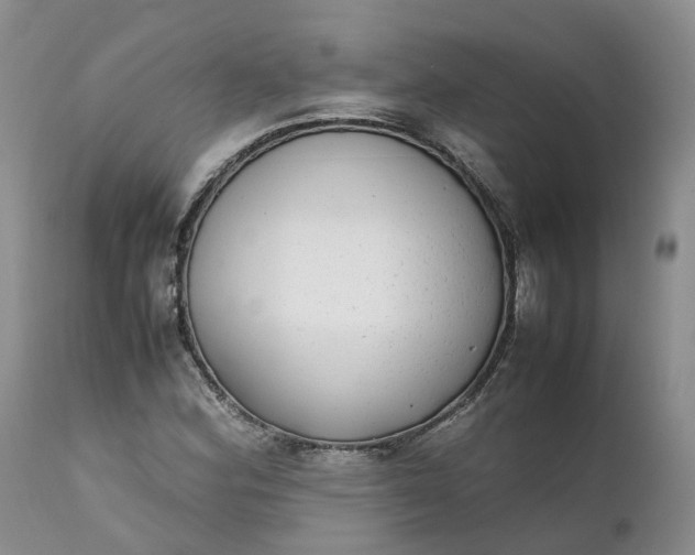 X0000111371164200907241239