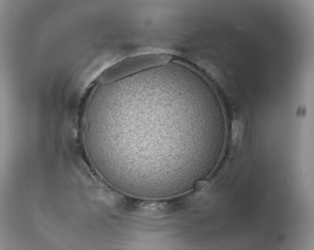 X0000111371165200907241239