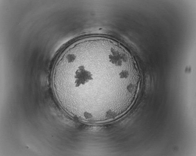 X0000111371166200907241239