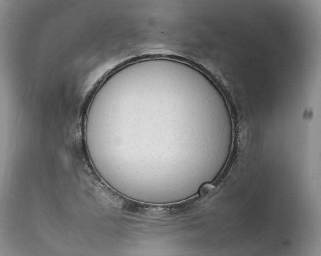 X0000111371167200907241239