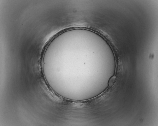 X0000111371168200907241239