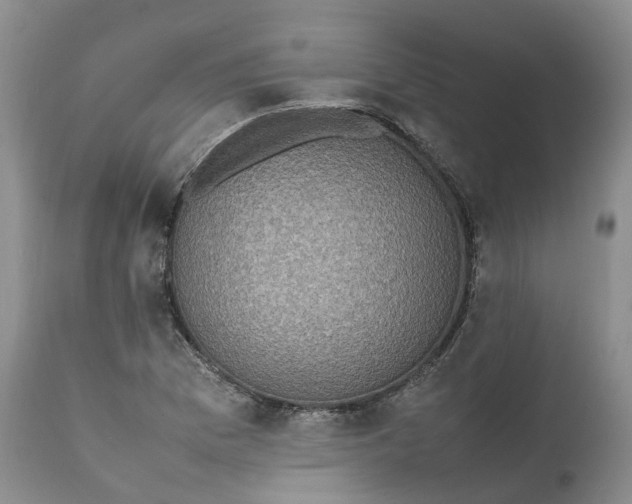 X0000111371169200907241239