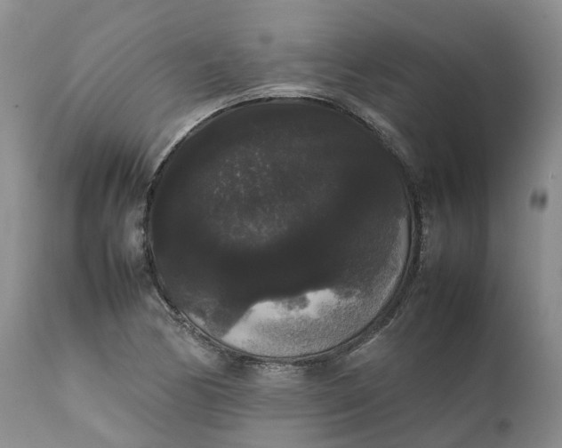 X0000111371170200907241239