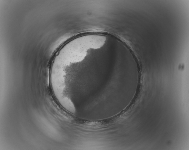 X0000111371171200907241239