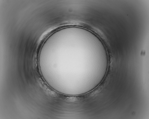 X0000111371172200907241239