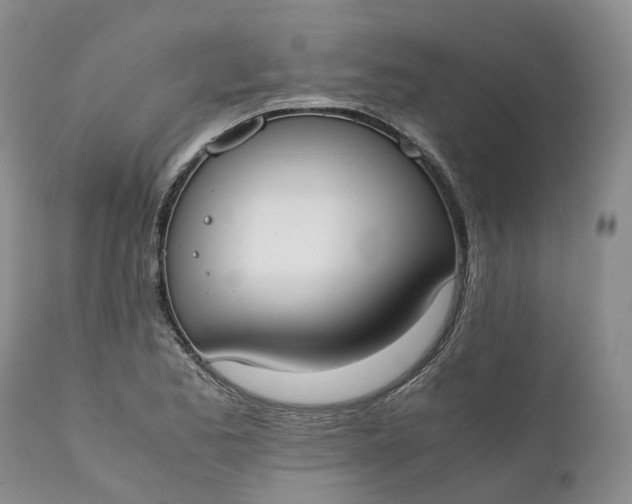 X0000111371173200907241239