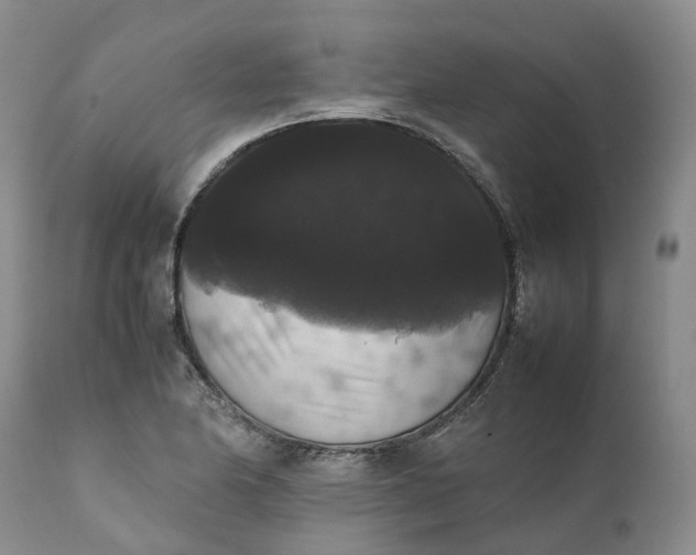 X0000111371174200907241238