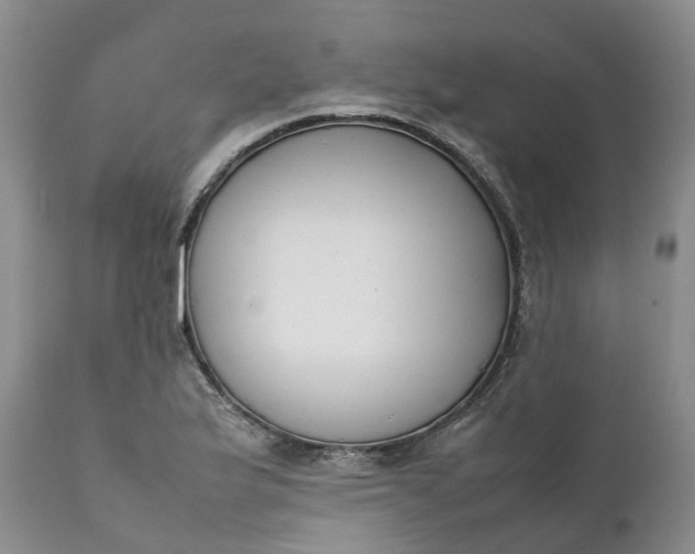 X0000111371175200907241238