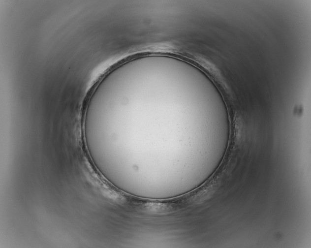 X0000111371176200907241238