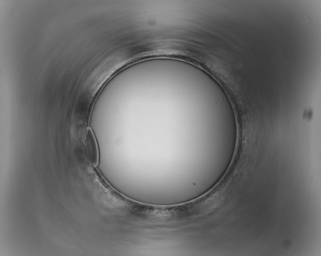 X0000111371177200907241238