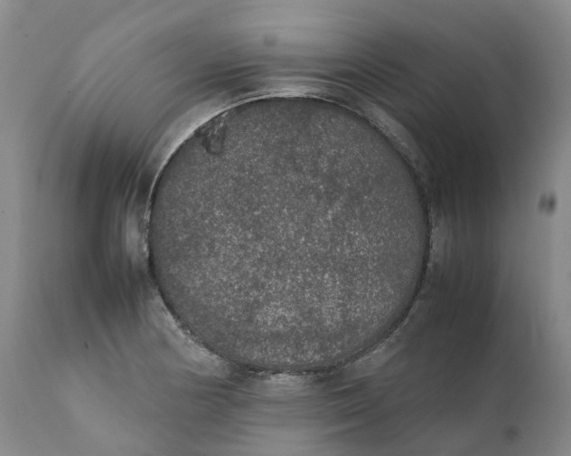 X0000111371178200907241238