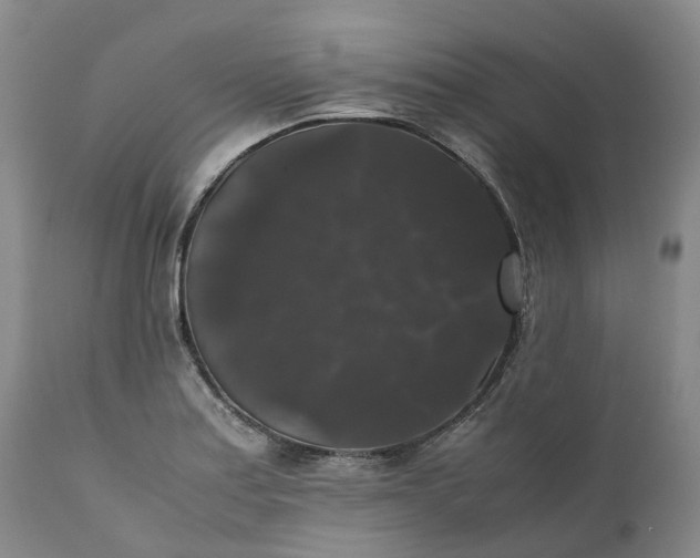 X0000111371179200907241238