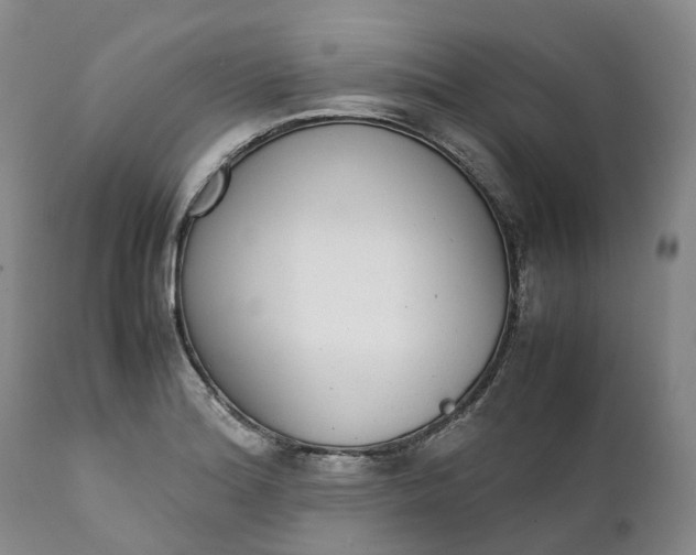 X0000111371180200907241238