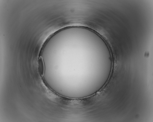 X0000111371181200907241238