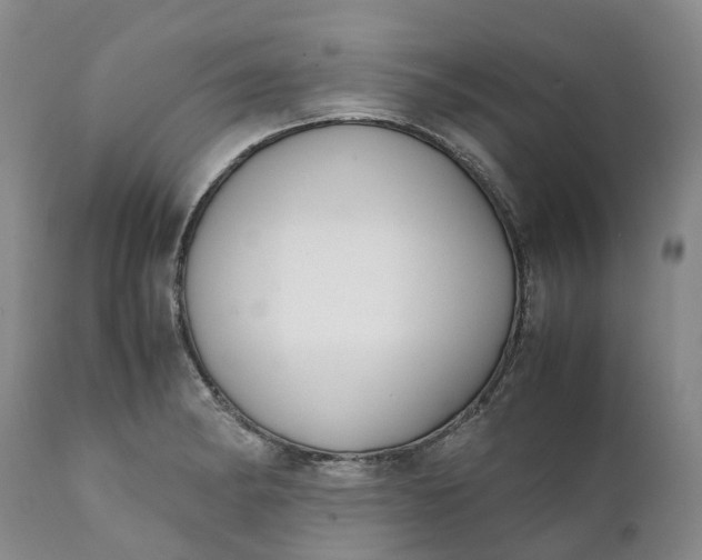 X0000111371182200907241238