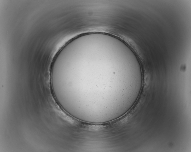 X0000111371184200907241238