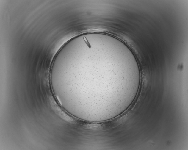 X0000111371186200907241238