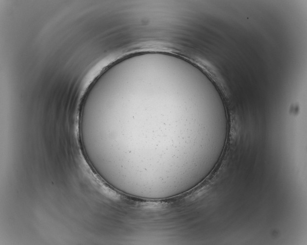 X0000111371188200907241238