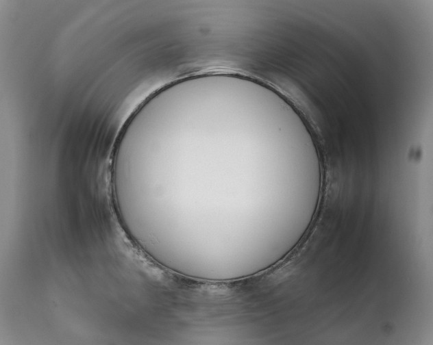 X0000111371190200907241238