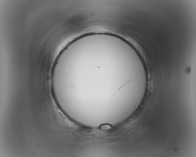 X0000111371191200907241238