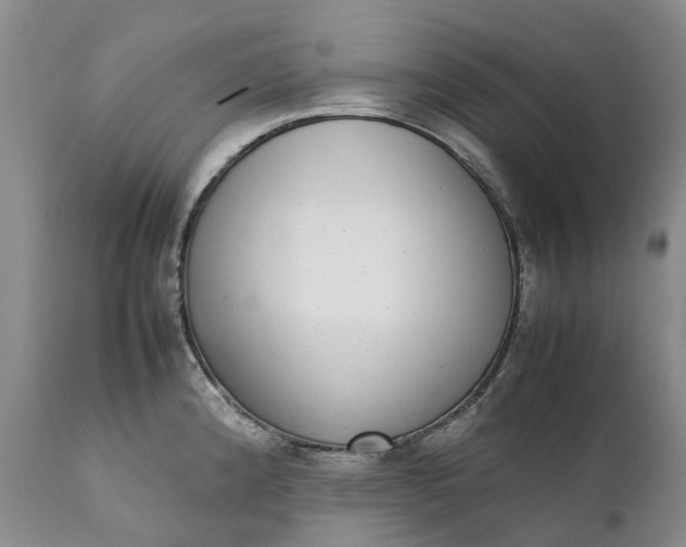 X0000111371192200907241238