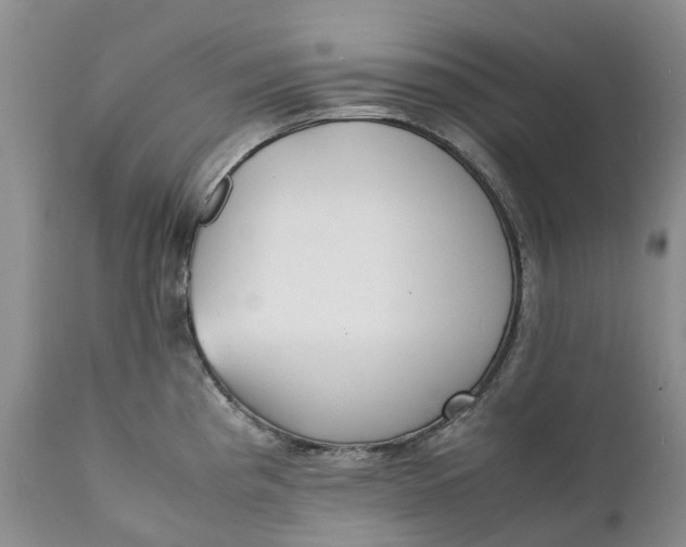 X0000111371193200907241238